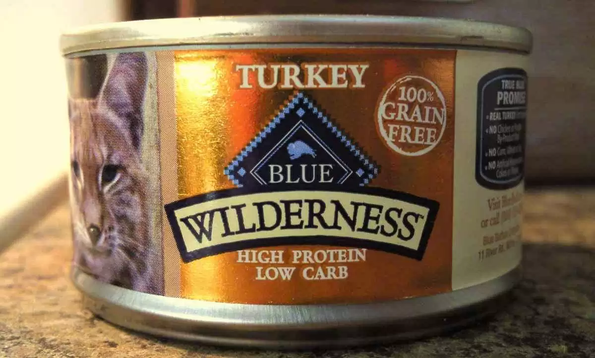 Top Brands of GlutenFree Cat Food