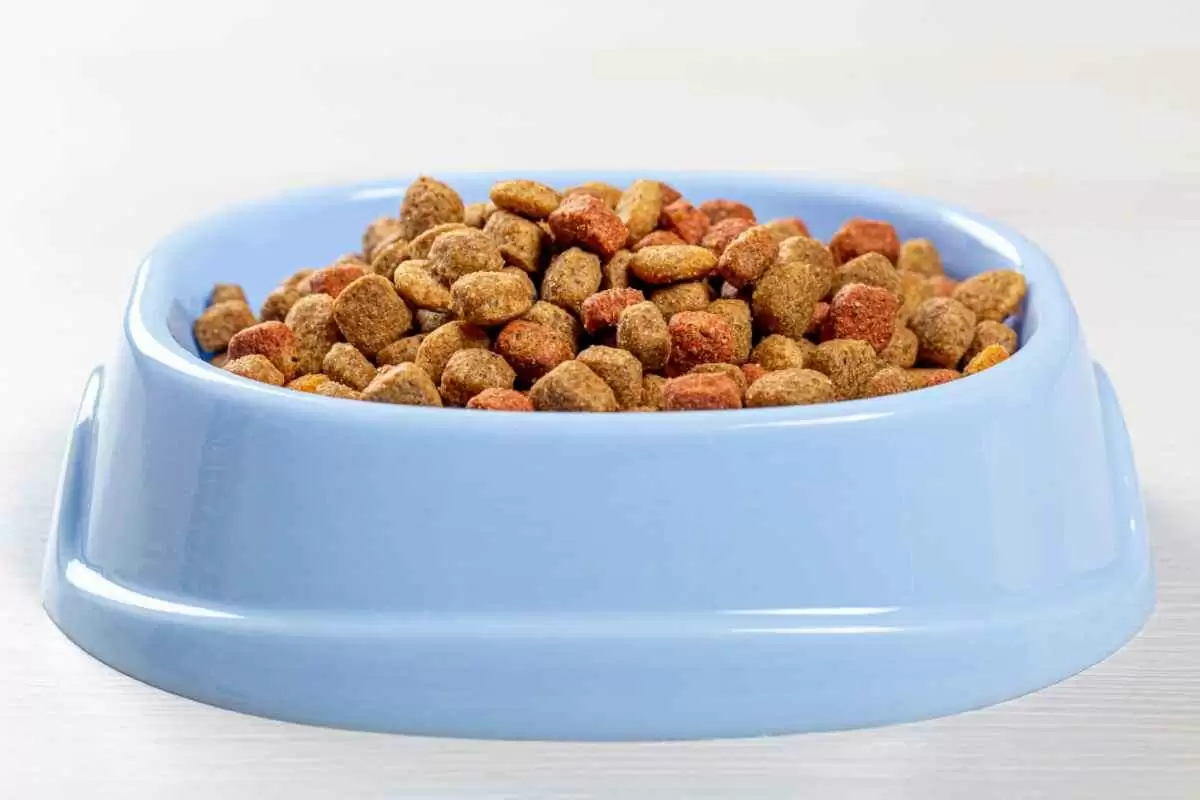 Is Cat Food Gluten-Free? - Image: CC BY 2.0--wuestenigel