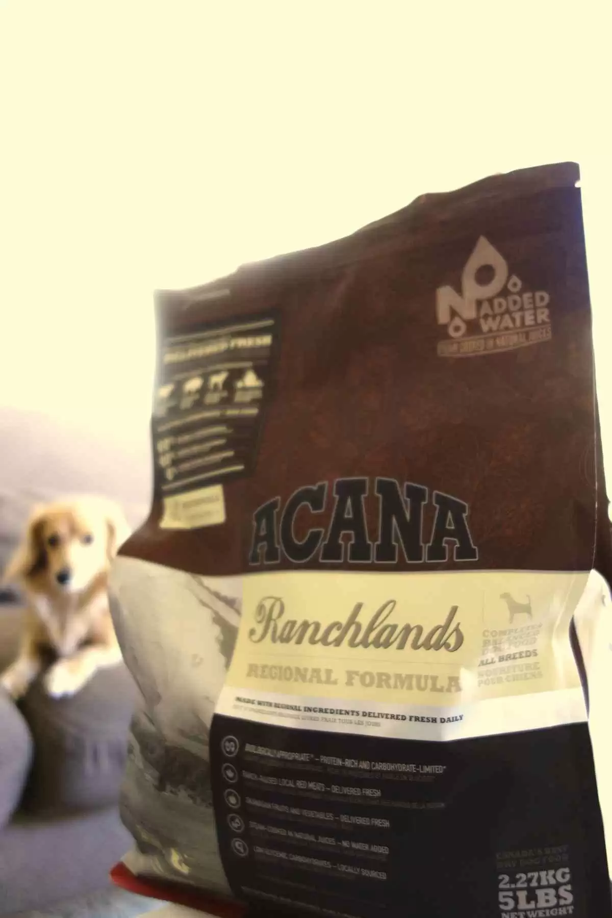 More information about "Top Brands of Gluten-Free Dog Food"