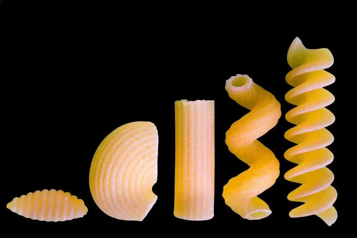 Best 15 Short Pasta Shapes and Their Uses 