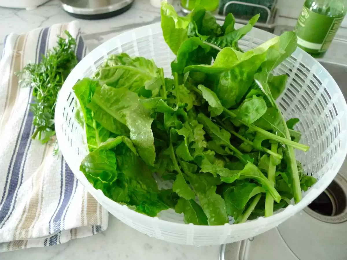Meyer Lemon & Arugula Chicken Salad (Gluten-Free) - Prepped Arugula. Image: CC BY-SA 2.0--Ann Larie Valentine