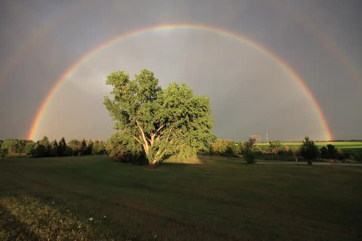 The Most Frequent Genetic Disease of Human Kind - Double Rainbow. Image: CC BY-ND 2.0--gfpeck