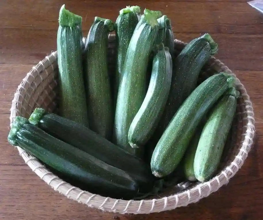 More information about "Easy Gluten-Free Stuffed Zucchini"