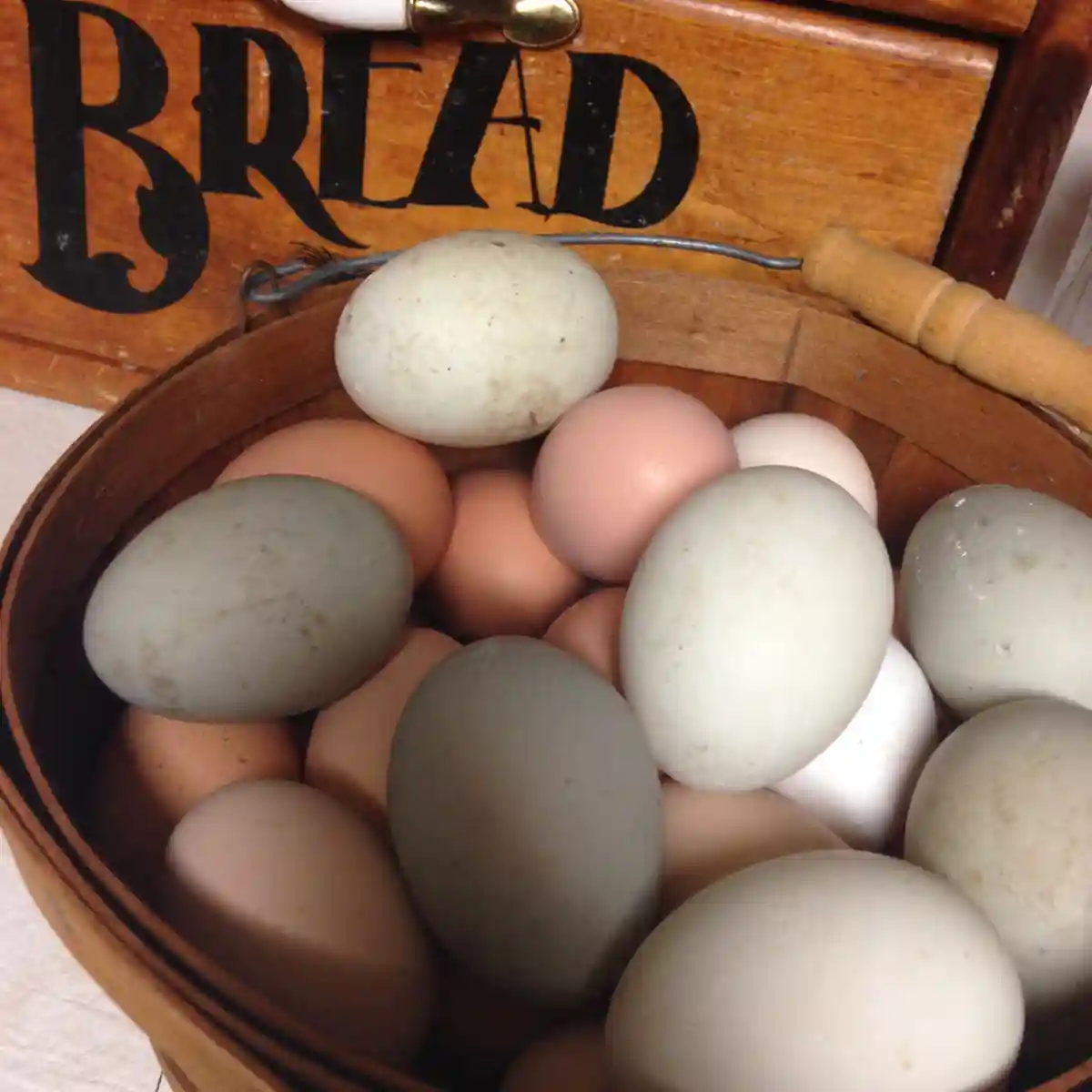 More information about "Duck Eggs in the Gluten-Free World"