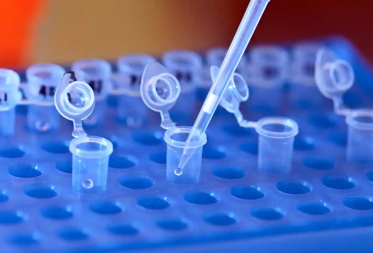 Celiac Disease: Unlocking the Genetic and Epigenetic Code - DNA lab by umseas is licensed under CC BY 2.0.
