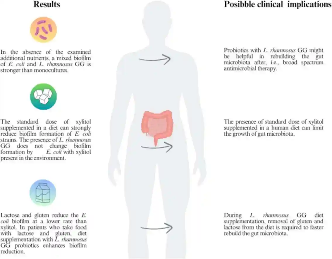 Microbiota_study.webp