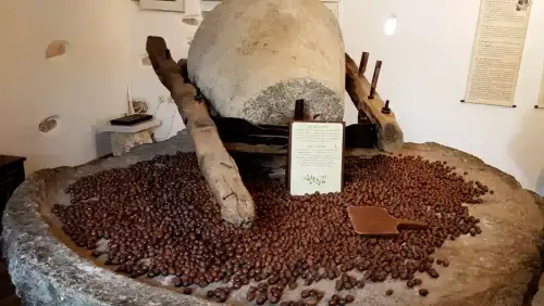 Turning Olive-Press Waste into Gluten-Free Flour