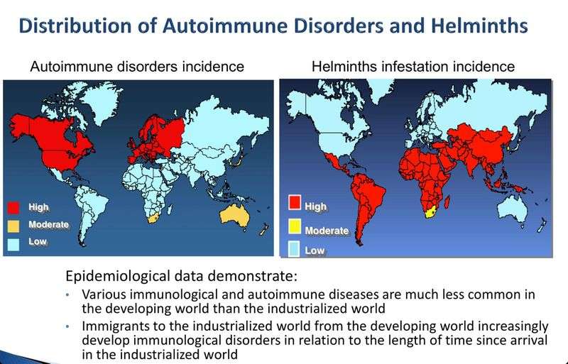 DistributionofAutoimmuneDisordersandHelminths800x513.jpeg.445c8f451385001f30dfa1b70ab2eaea.jpeg