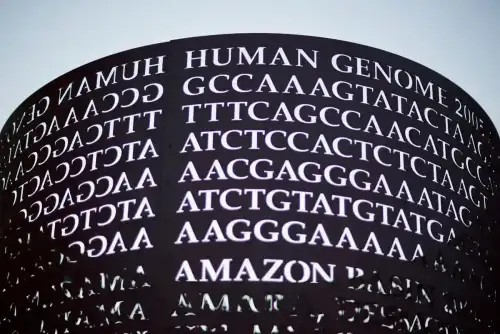 Understanding the Role of HLA-DQA1 in Celiac Disease and Non-Celiac Gluten Sensitivity: A Genetic and Immune Perspective - Glowing Genome by DaveFayram is licensed under CC BY 2.0.