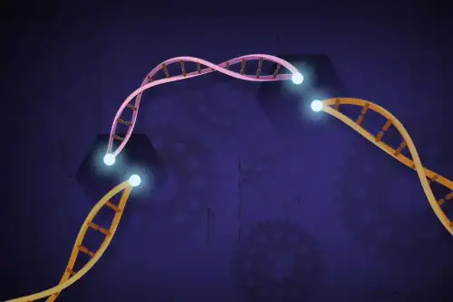 Breakthrough in Wheat Science: Reducing Celiac Disease Triggers While Improving Gluten Quality - CRISPR Cas9 by National Institutes of Health (NIH) is marked with Public Domain Mark 1.0.