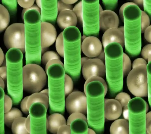 Harnessing Kupffer Cell Metabolic Rewiring: A Novel Approach to Immune Tolerance in Celiac Disease (+Video) - Nanoparticle Trapping by oakridgelabnews is licensed under CC BY 2.0.++ Watch the Video ++