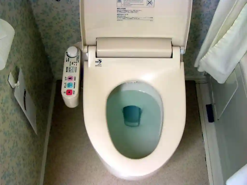 More information about "Can a Smart Toilet Detect a Gluten Reaction? The Future of Tech in Celiac Monitoring"