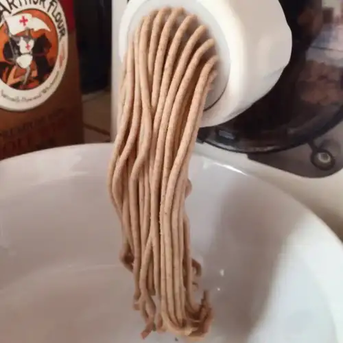 Effect of Teff and Flaxseed Flours on Gluten-Free Noodles - Noodle maker. by theexploradora is marked with CC0 1.0.