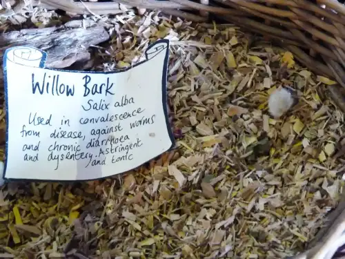 Is Aspirin Gluten-Free? - Herb Garret: Willow Bark by Woffenden is licensed under CC BY 2.0.