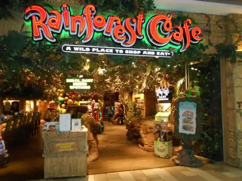 Rainforest Cafe Fined After Child's Severe Allergic Reaction: What It Means for Gluten-Free Safety - Rainforest Cafe by Mario RM is licensed under CC BY-SA 2.0.