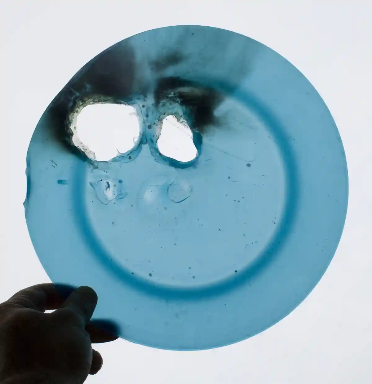 More information about "Gluten Transfer from Biodegradable Tableware: What a New Study Found and Why It Matters (+Video)"