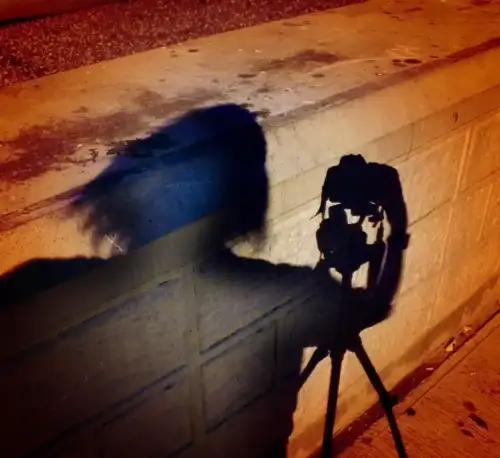 Researchers Identify a Gut Immune Pathway That May Spark Celiac Disease (+Video) - Photographer, Camera and Tripod: Shadow Self Portrait, Spirit Within by Dominic's pics is licensed under CC BY 2.0.++ Watch the Video ++