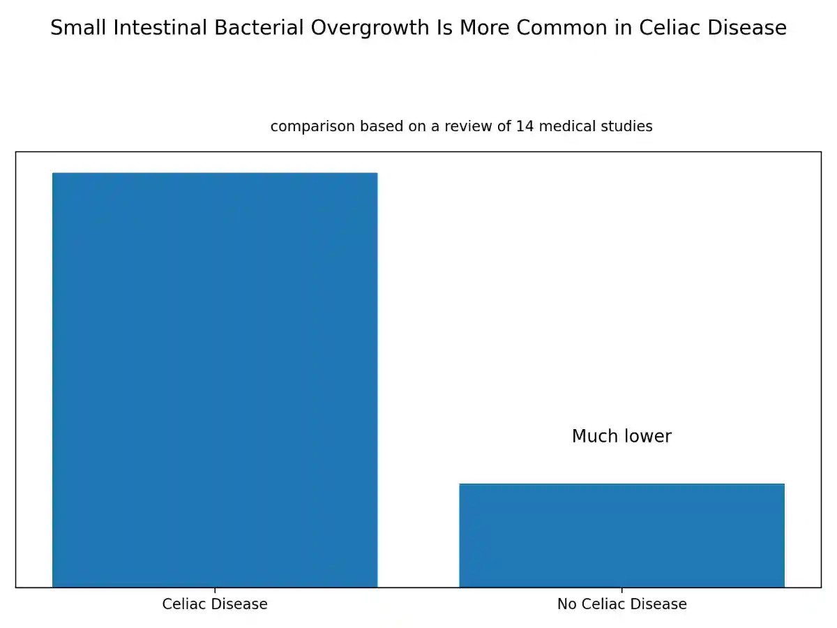 celiac_sibo_prevalence_conceptual.webp