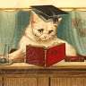 bookcat501