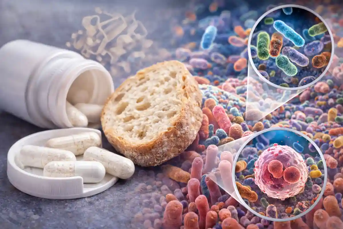 More information about "Antibiotics and Gluten Sensitivity: How Microbiome Shifts May Trigger Immune Reactions (+Video)"