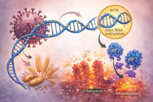 New Research Links RNA Chemistry to Immune Activation in Celiac Disease - Image: Celiac.com