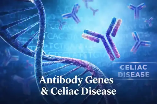 New Research Reveals How Antibody Genes May Shape the Immune Response in Celiac Disease - Image: Celiac.com