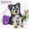 BSinCO