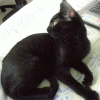 Ashcat